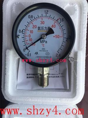 YE-150Z膜盒压力表